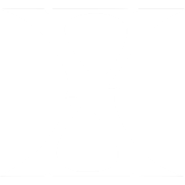 X JAPAN